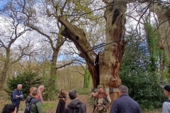 20250409_154207-min-scaled