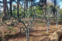 20250410_122509-min-scaled