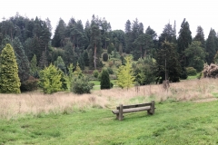 Photo 11-09-2018, 12 07 47